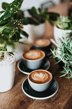 Fresh cappuccino cups with latte art served on a wooden café table